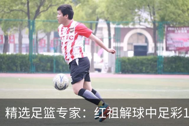 精选足篮专家：红祖解球中足彩13万 杨超擒11万